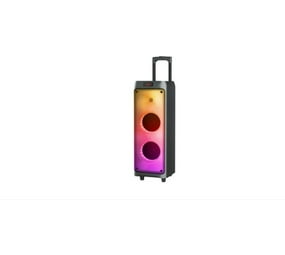 2x6.5" BLUETOOTH TROLLEY SPEAKER