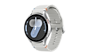 SAMSUNG GALAXY FIT3 - SILVER