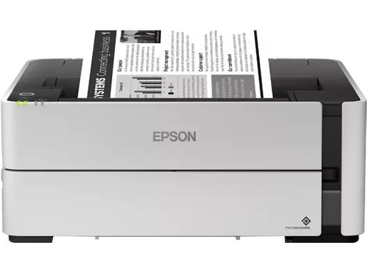 EcoTank mono printer